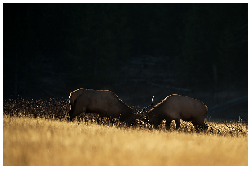 4_20161006-180552_1.jpg 4_20161006-180552_1.jpg