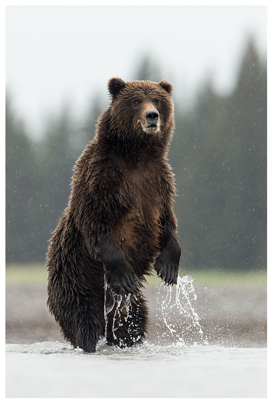 5_20140918-181210_1.jpg 5_20140918-181210_1.jpg