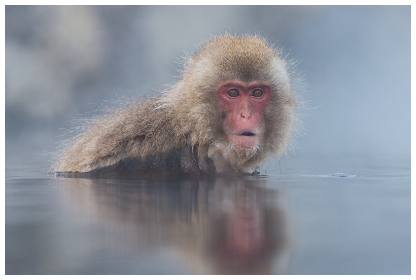 5_20150222-204258_1.jpg 5_20150222-204258_1.jpg