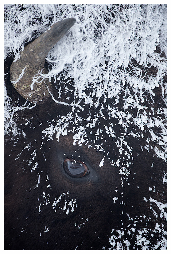 6_20140302-123732_1.jpg 6_20140302-123732_1.jpg