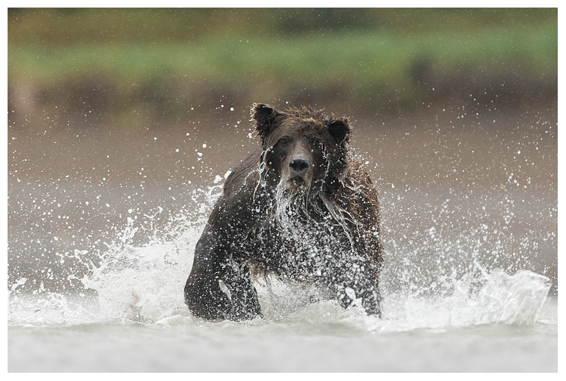 6_20140918-181211_1.jpg 6_20140918-181211_1.jpg