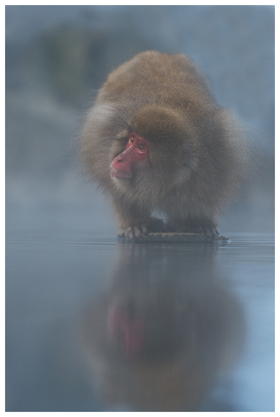 6_20150223-211305_1.jpg 6_20150223-211305_1.jpg