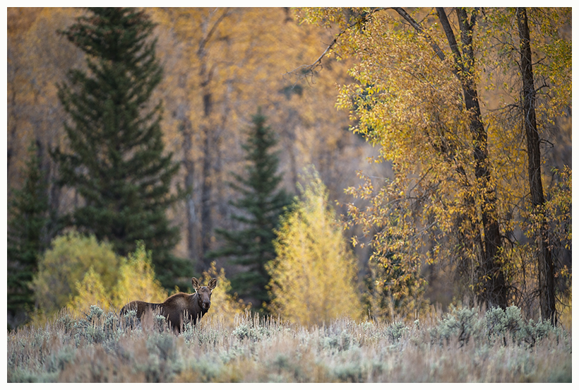 8_20161006-180554_1.jpg 8_20161006-180554_1.jpg