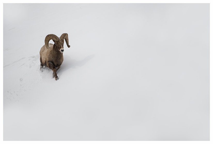 9_20140302-123735_1.jpg 9_20140302-123735_1.jpg