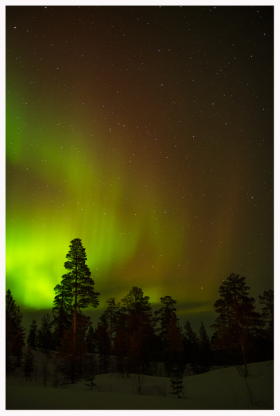 Aurora-blog.jpg Aurora-blog.jpg