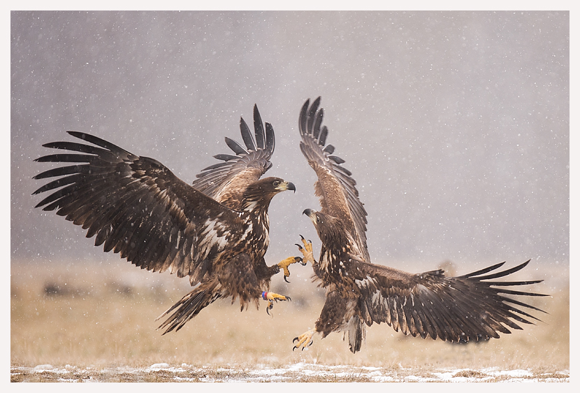 blogfoto-1.jpg blogfoto-1.jpg