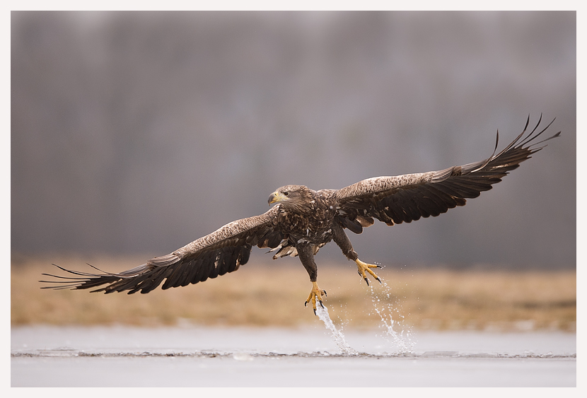 blogfoto-4.jpg blogfoto-4.jpg