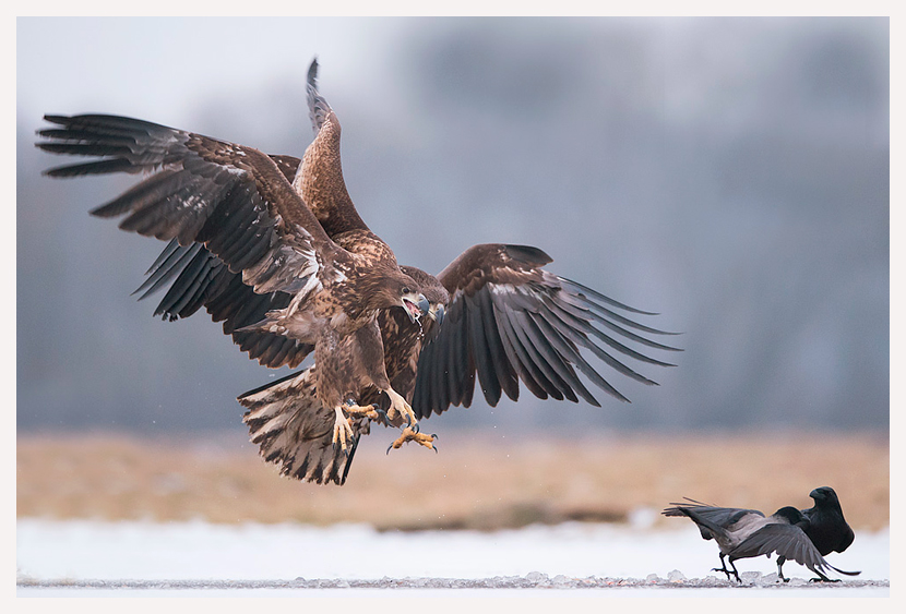 blogfoto-7.jpg blogfoto-7.jpg