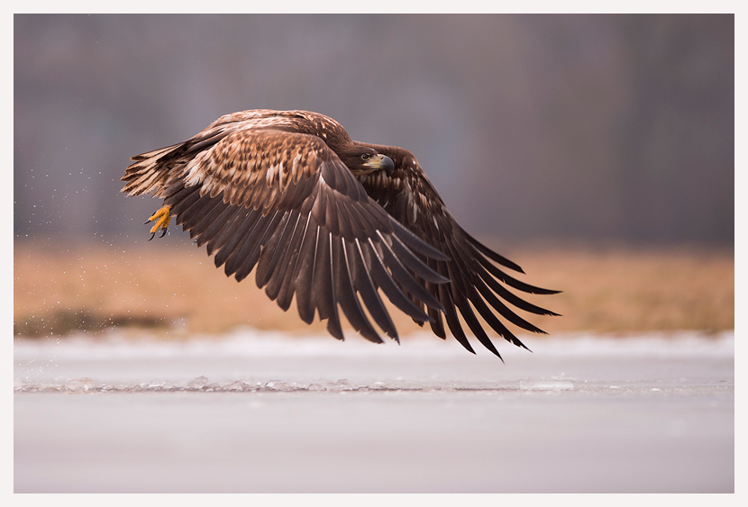 blogfoto-8.jpg blogfoto-8.jpg